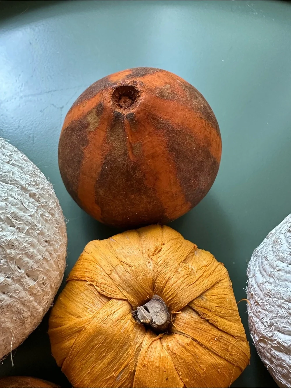 Set of Fall Decorations • natural • Pier 1